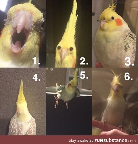 Which one are you today?