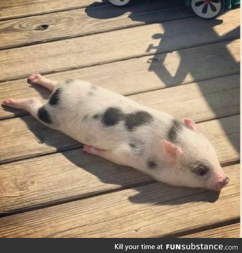 Missile mode activated