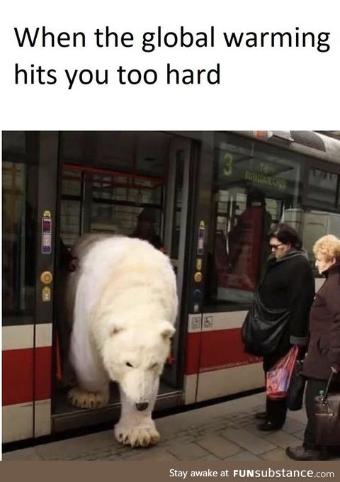 Suddenly polar bear express