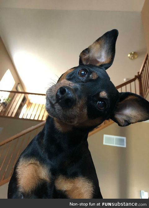 What you doin?