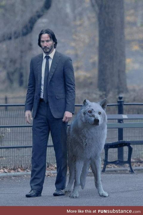 John Wick is coming for John Snow. Do not abandon your dog
