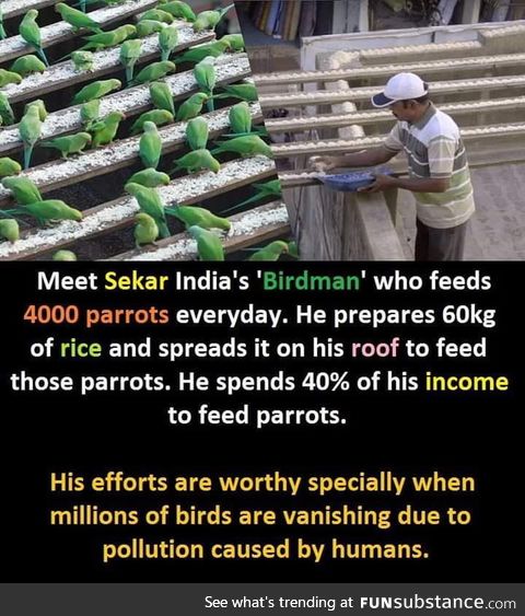 Indian birdman