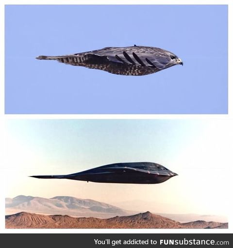 Inspired by nature