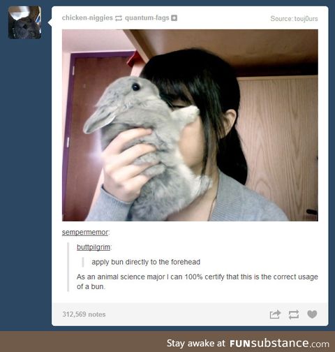 Appropriate bun usage