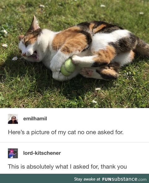 Important post