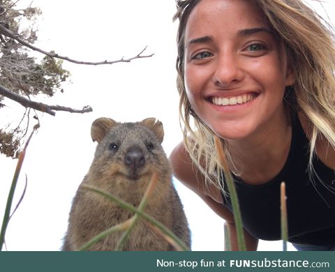 Just me and a quokka