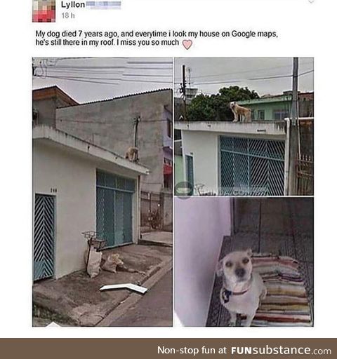 No, youre crying