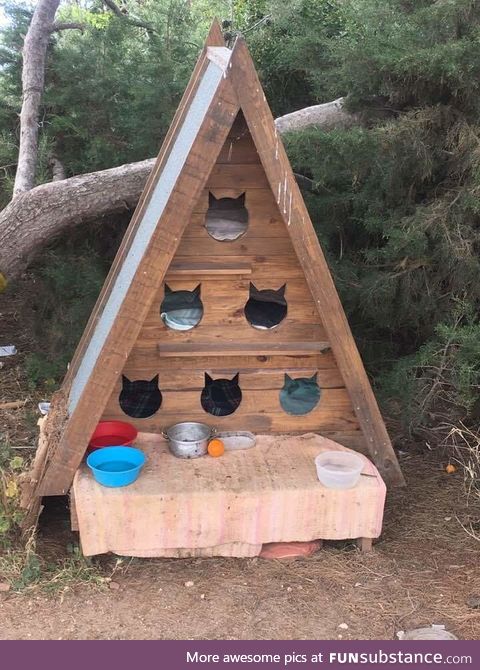 Cat hostel for feral cats in Portugal