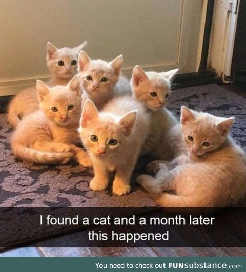 Surprise