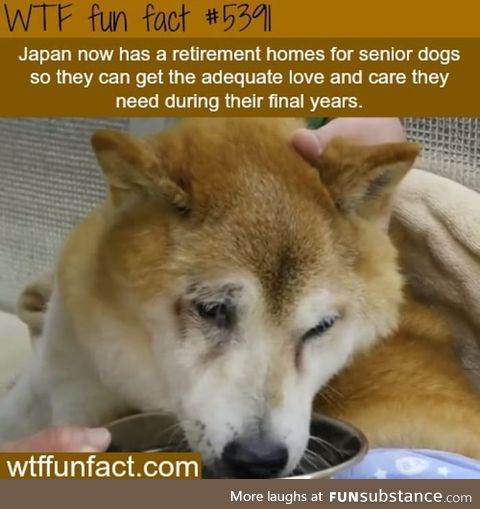 If this is true, then much love for Japan!