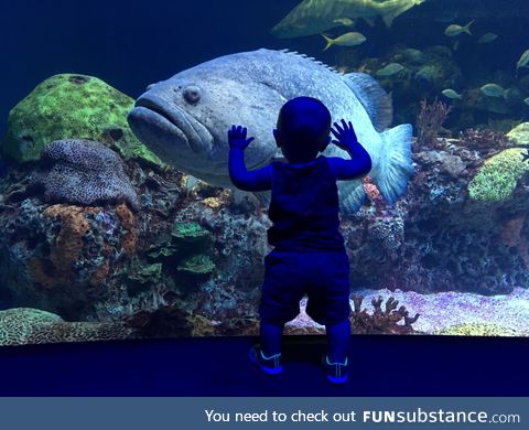 Got this shot of my son at the aquarium