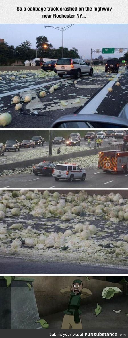 My cabbages!