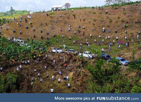 In the Philippines they broke world record of Pakistan after planting 3.2 million trees