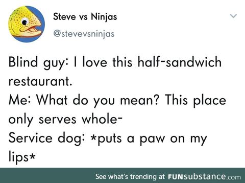 The problem with service dogs