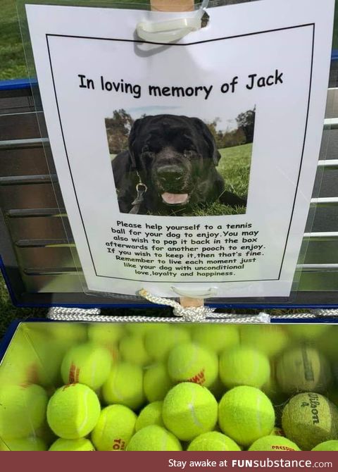 Jack is still a great bro.