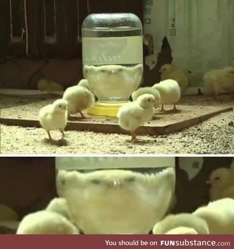I don't know where I found this image