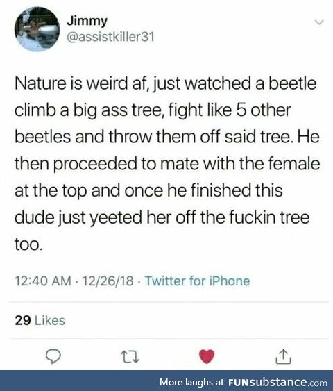 Beet-and-yeet