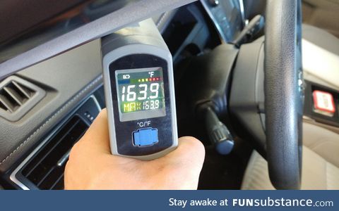 Summer is coming. Here's a reminder not to leave your pet in your car cooking in the sun