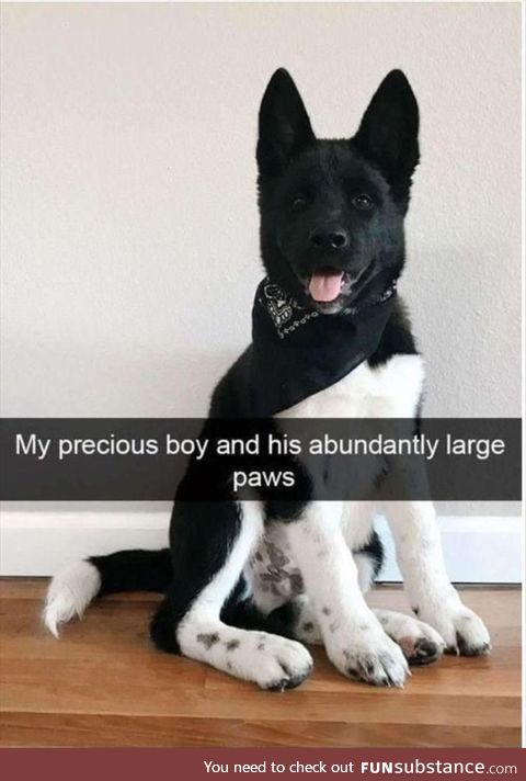 Well, damn