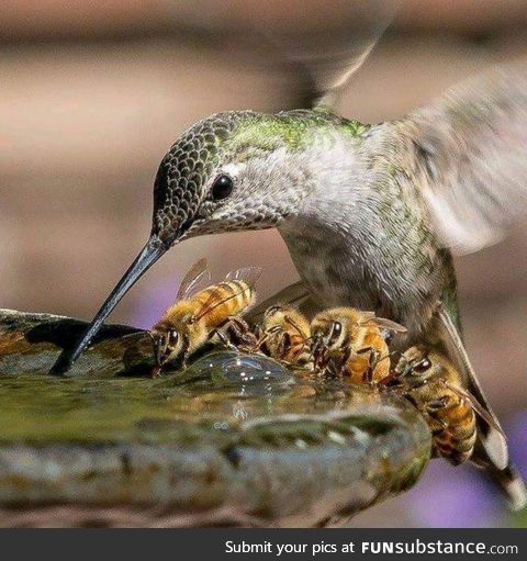 Sharing is caring!