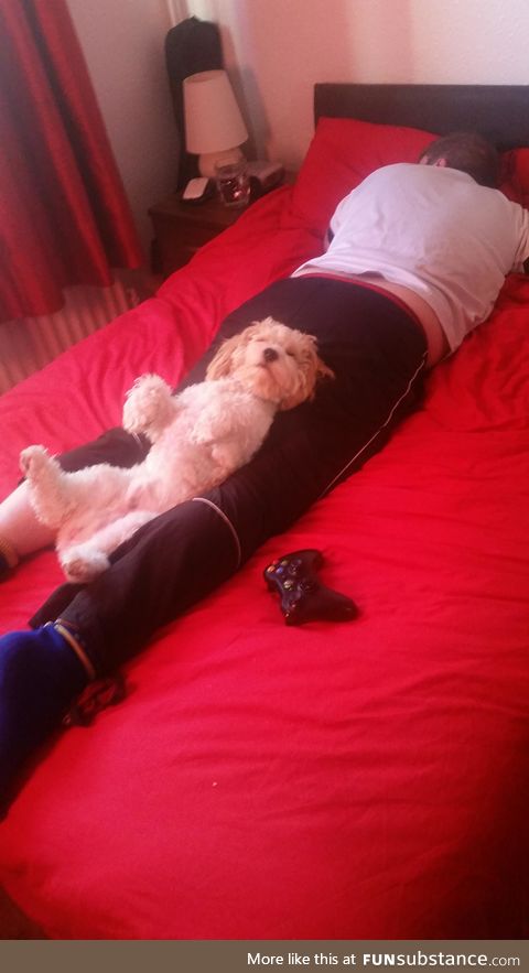 Found my boyfriend and dog taking a nap like this