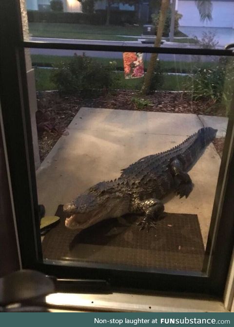 Someone in my neighborhood posted this pic on NextDoor a few hours ago