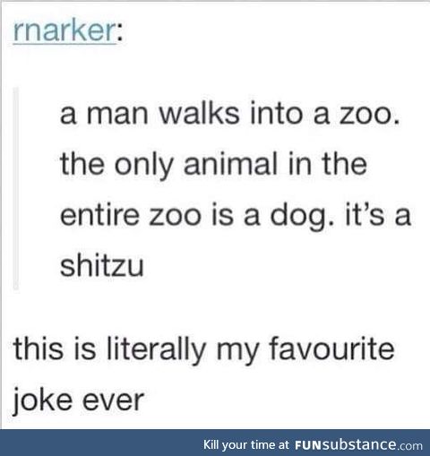 At least there is a doggo