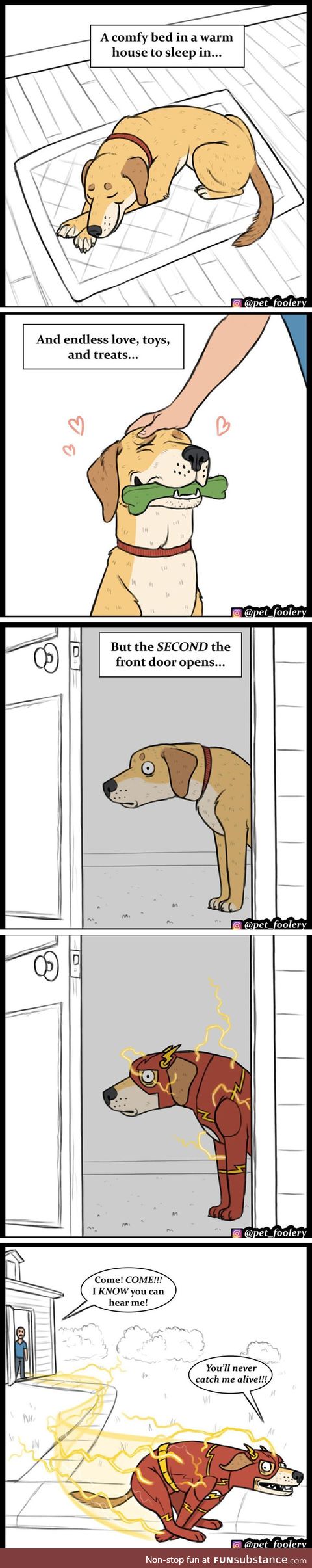 Dog logic by petfoolery
