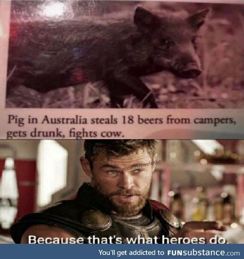 Madlad 100