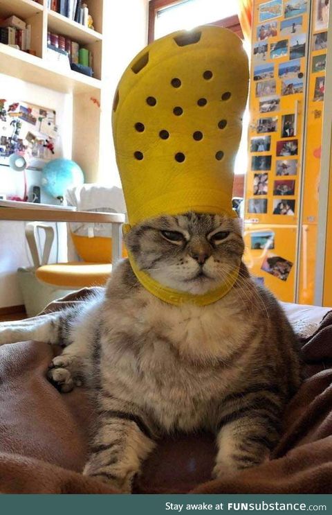 Pharaoh Ramses II after winning The Battle of the Five Armies (cca 3500 BC)