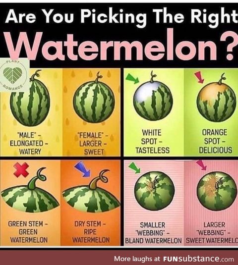 For those who don't know. Get the best melons
