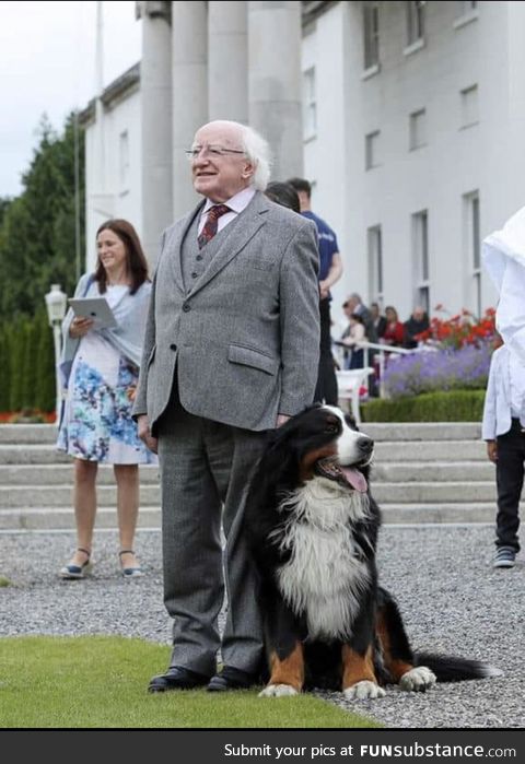 The President of Ireland and the First Pupper make an appearance