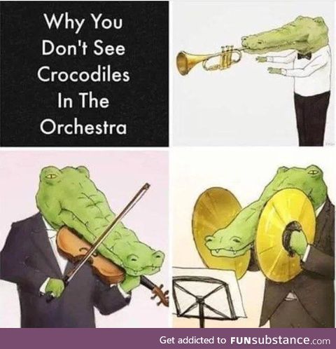 Crocodiles struggle in band class