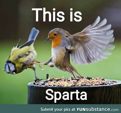 This is Sparta!! ????????