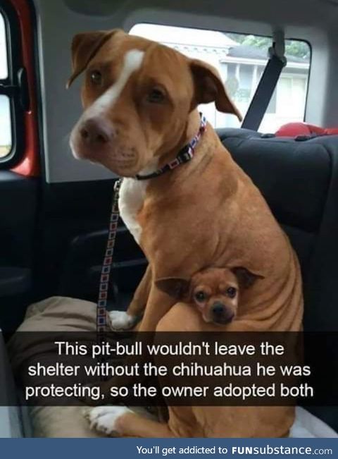 Aww!! Lovely.