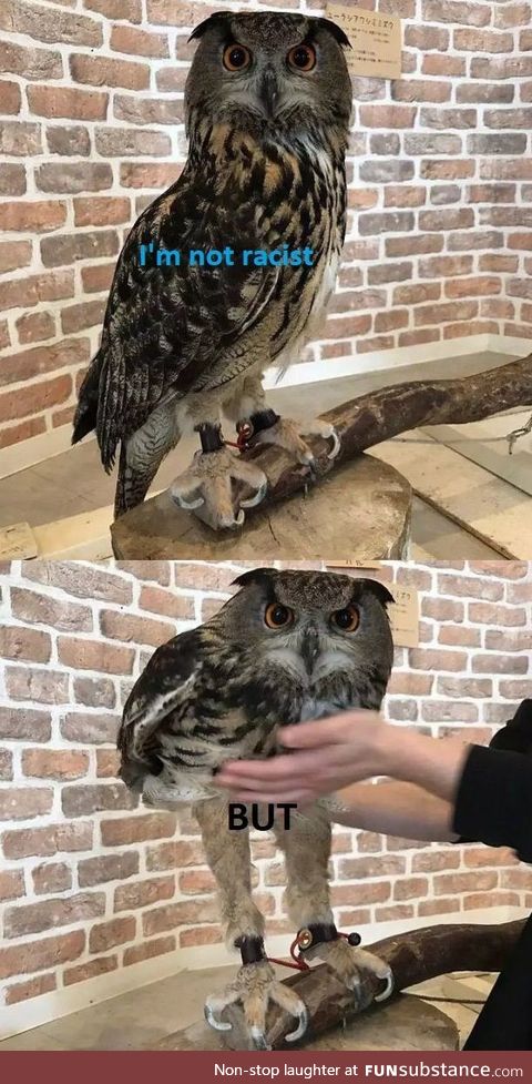 New template in town