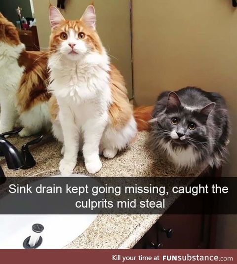 Busted