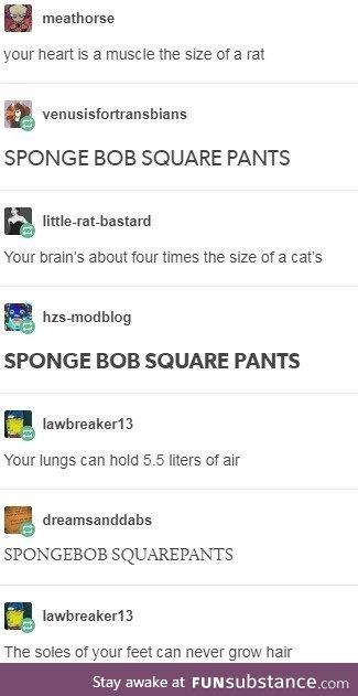 SPONGEBOB SQUAREPANTS