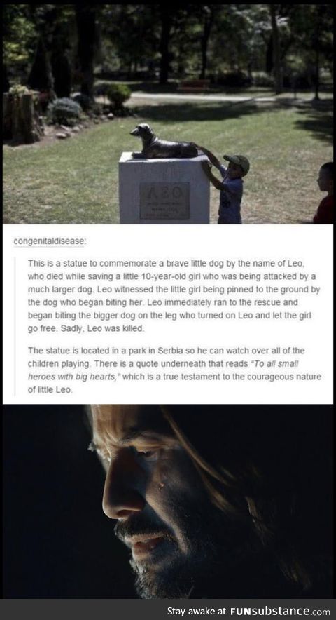 Good boy Leo