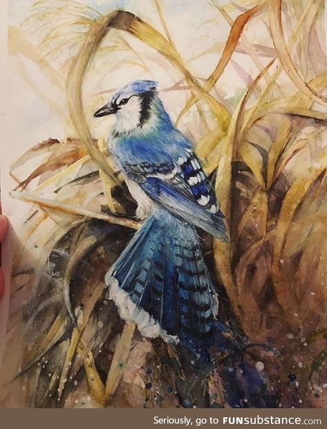 A blue jay in watercolor. Really happy how this turned out