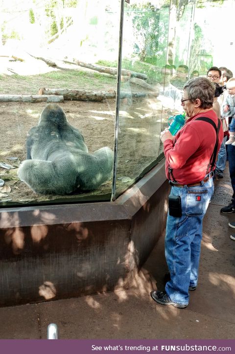 In honor of Father's Day, enjoy this picture of my dad contemplating a gorilla's ass