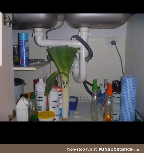There's a serious leek under my sink