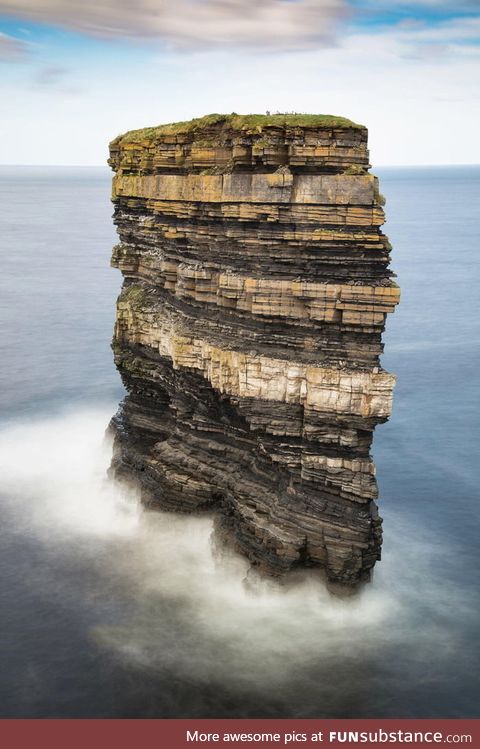 350 million years in one picture