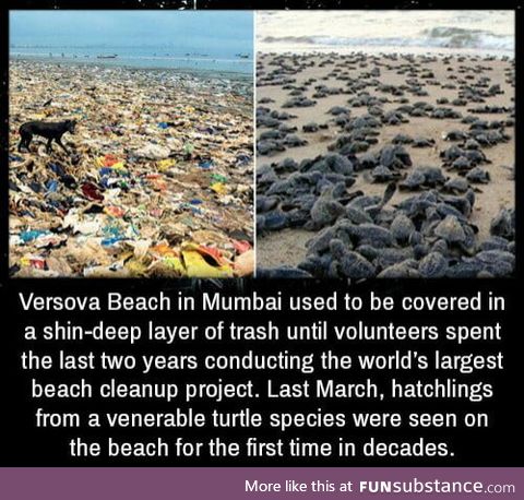 A cleanup can make a huge difference