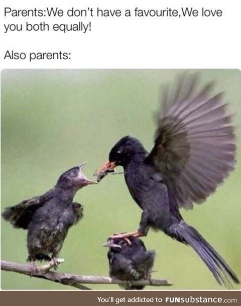 I love you all equally, but I love you more equally than other ones !