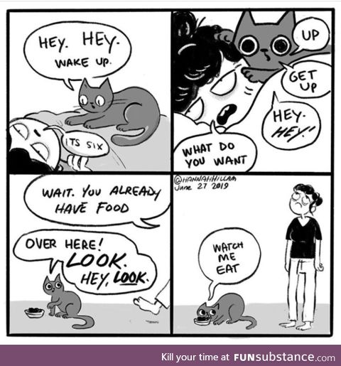 Cats