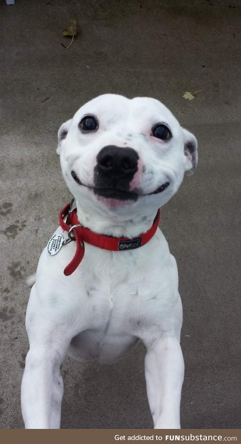 That one friend who doesn’t know how to smile for pictures