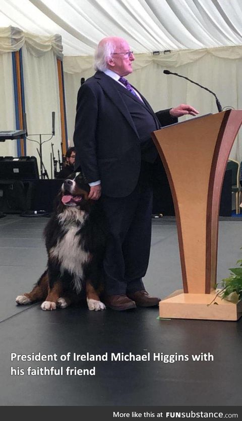 There is a politician I can trust