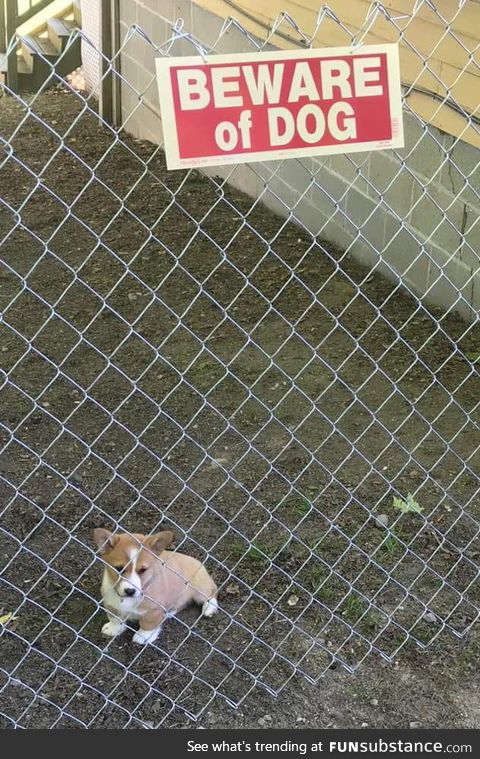 Oh. I'm scared!