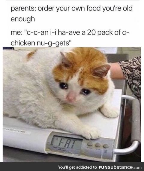 Chinken nugget